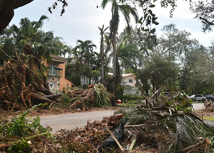 power-of-attorney_0003_neighborhood-damaged-by-hurricane