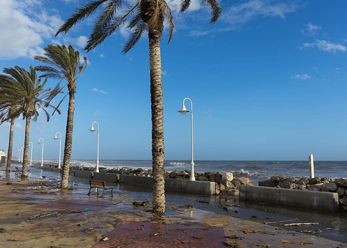 orlando-shoreline-after-hurricane